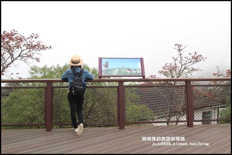 阿里山8.JPG 阿里山8.JPG