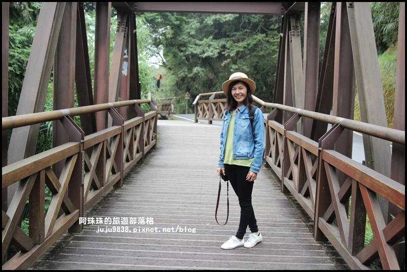 阿里山10.JPG 阿里山10.JPG