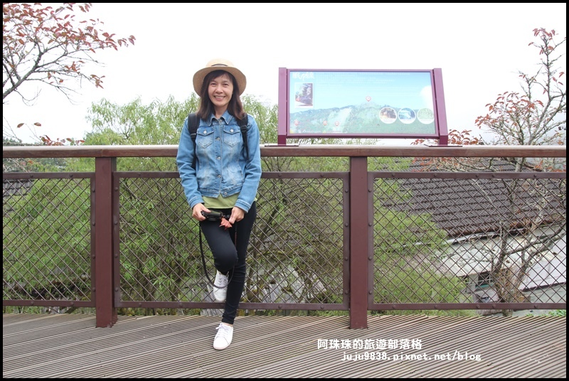 阿里山9.JPG 阿里山9.JPG