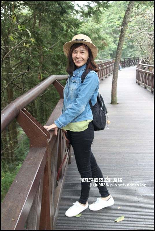 阿里山6.JPG 阿里山6.JPG