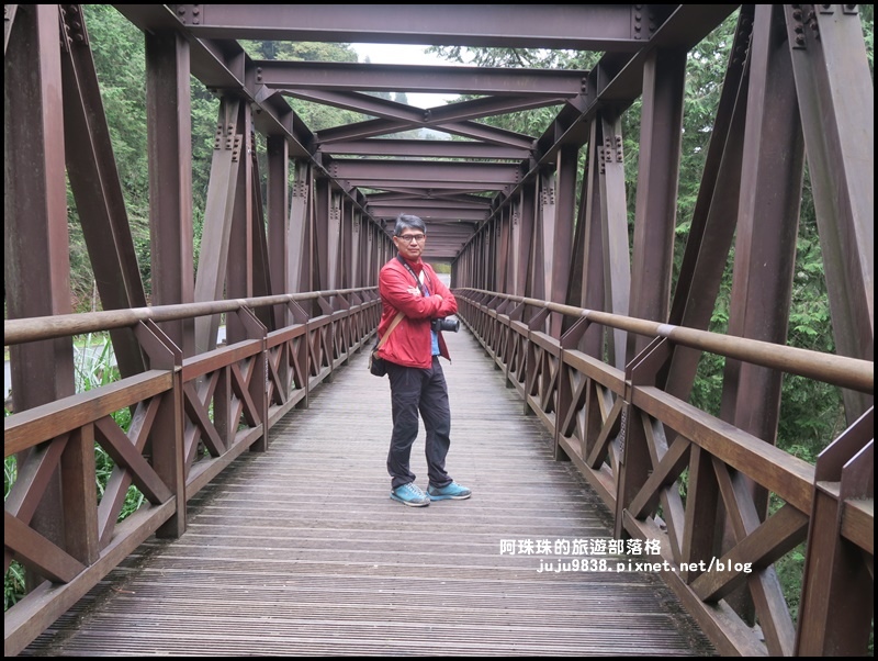 阿里山44.JPG 阿里山44.JPG
