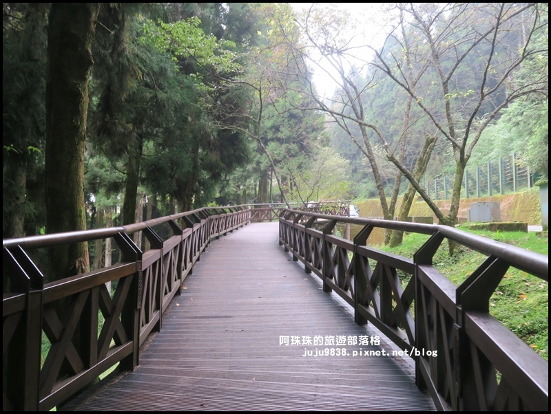 阿里山41.JPG 阿里山41.JPG