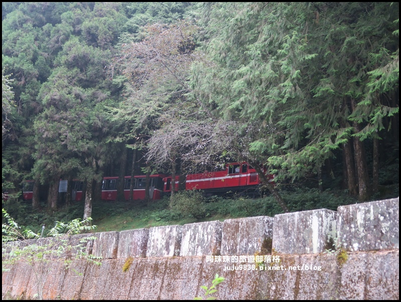 阿里山40.JPG 阿里山40.JPG