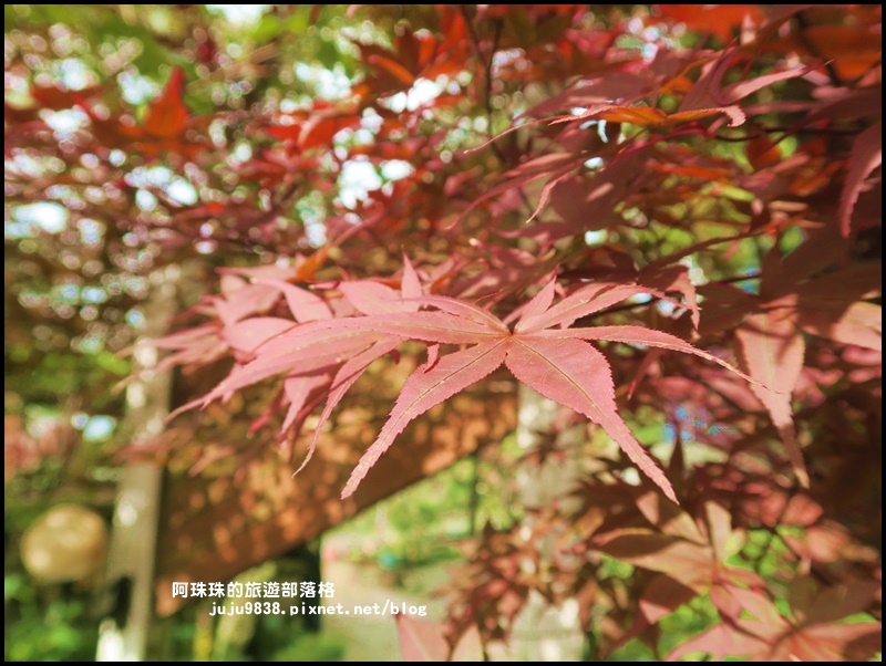 阿里山青山別館7.JPG 阿里山青山別館7.JPG