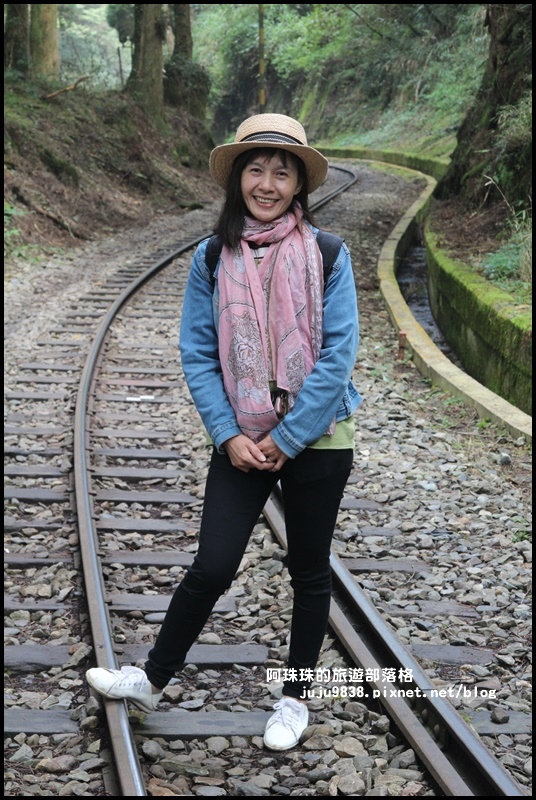 阿里山眠月線44.JPG