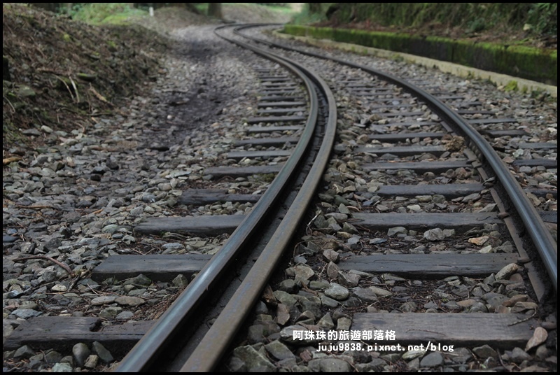 阿里山眠月線47.JPG
