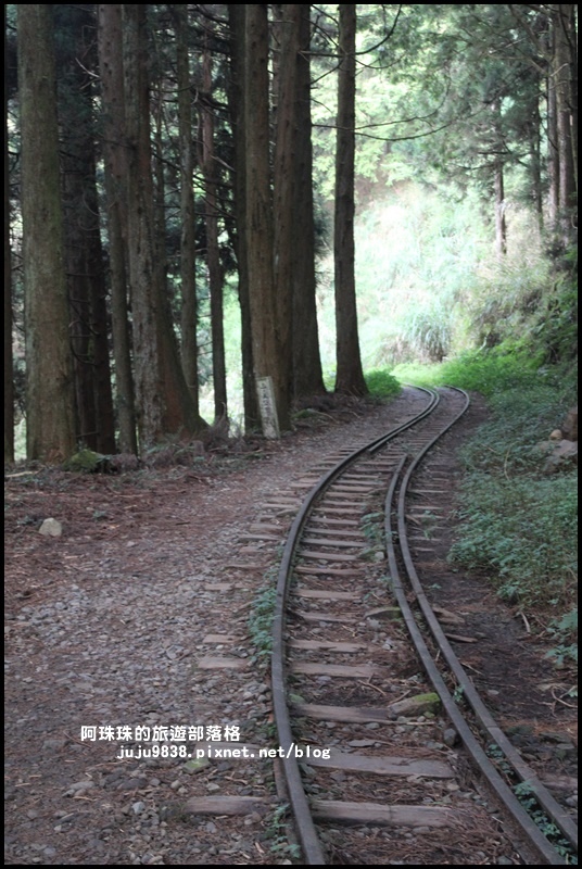 阿里山眠月線17.JPG