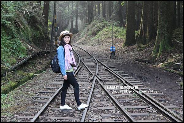 阿里山眠月線12.JPG