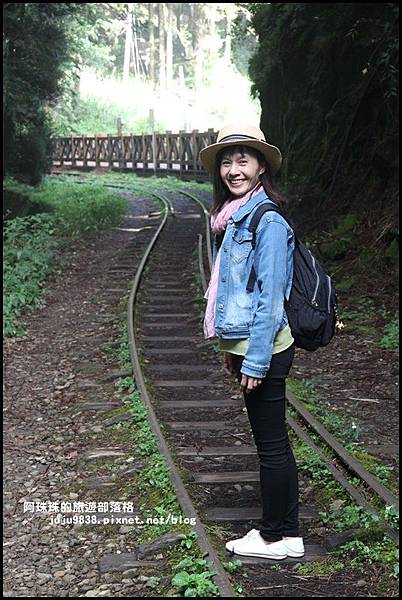阿里山眠月線13.JPG