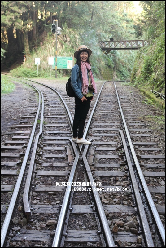 阿里山眠月線11.JPG 阿里山眠月線11.JPG