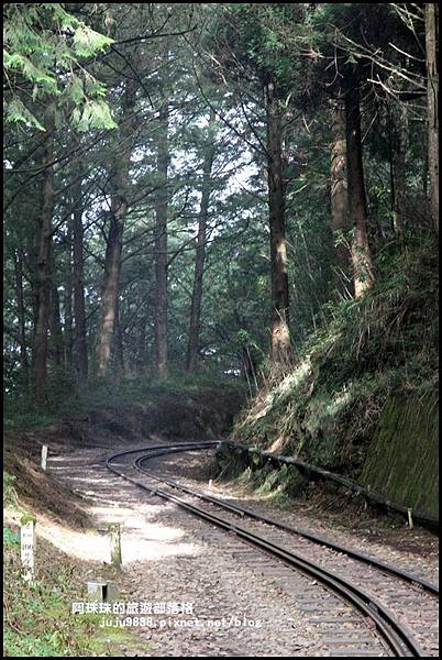 阿里山眠月線7.JPG