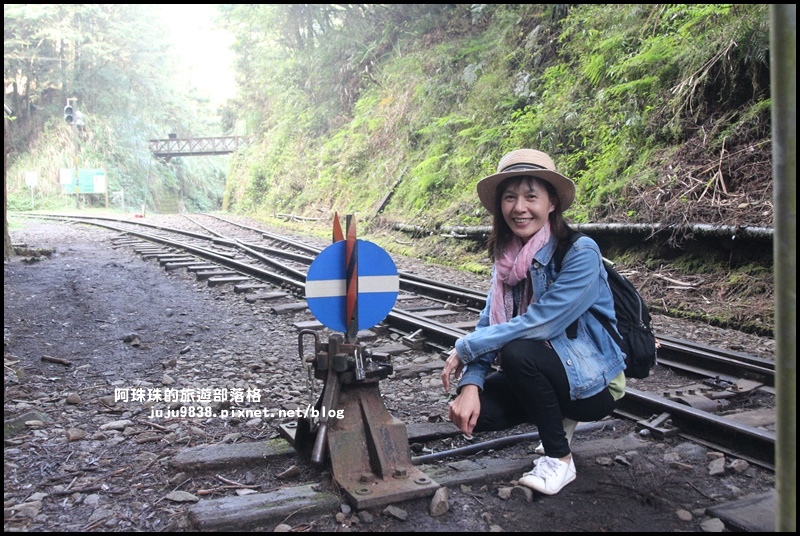 阿里山眠月線10.JPG
