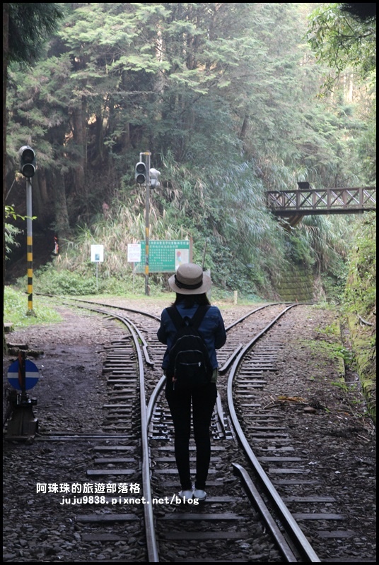 阿里山眠月線9.JPG
