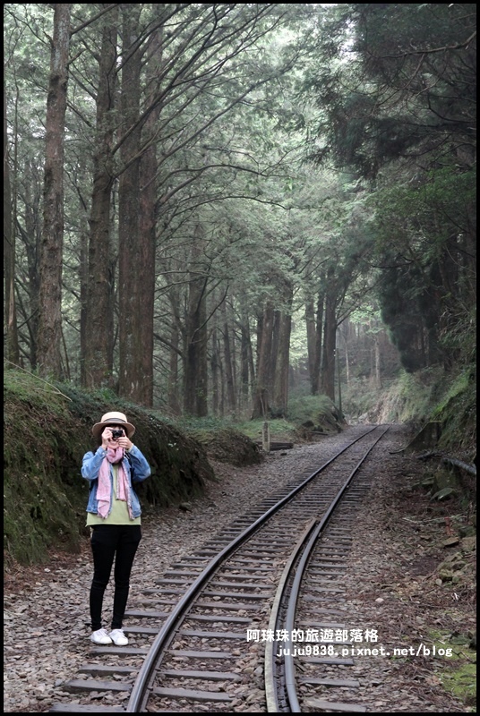 阿里山眠月線8.JPG