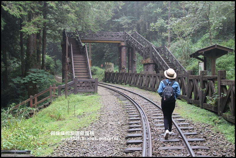 阿里山眠月線5.JPG