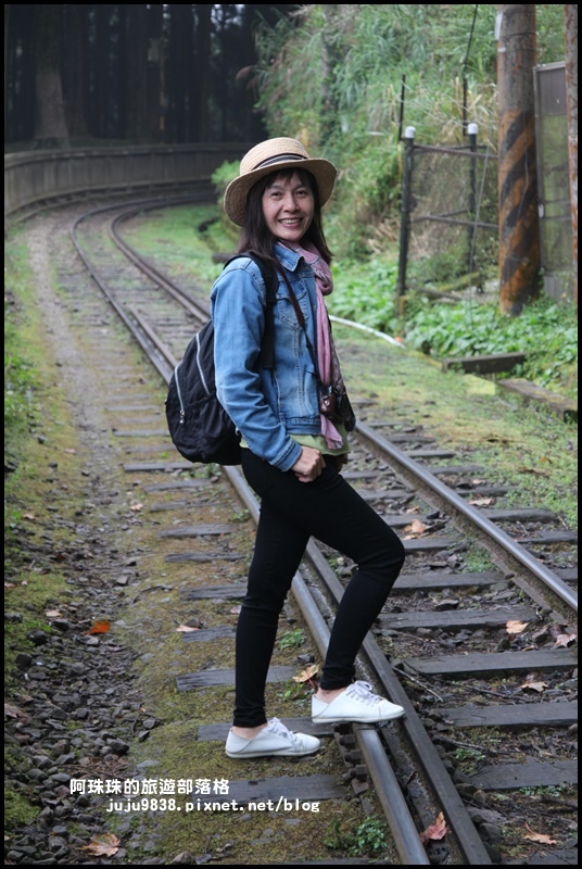 阿里山眠月線1.JPG