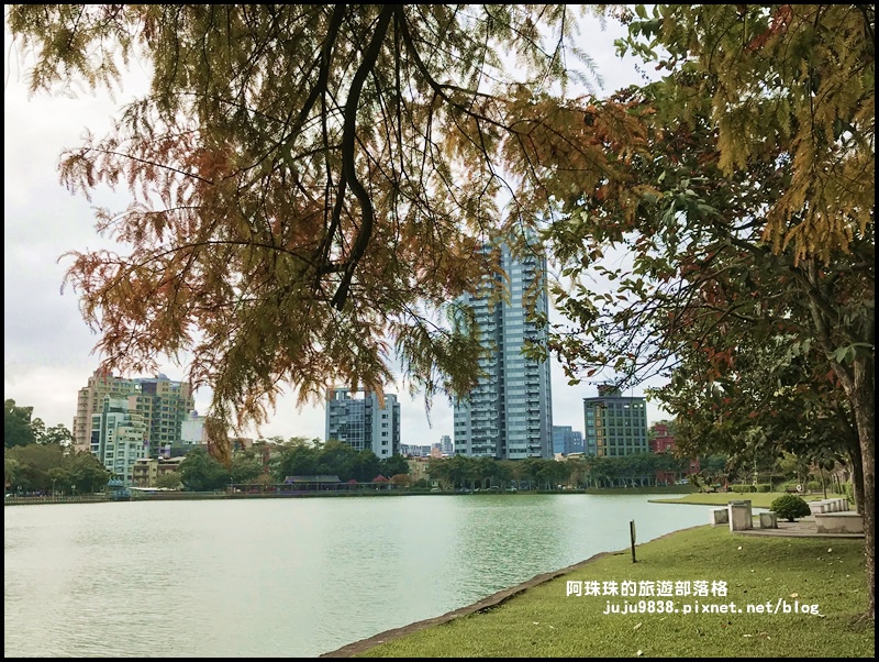 碧湖公園49.JPG