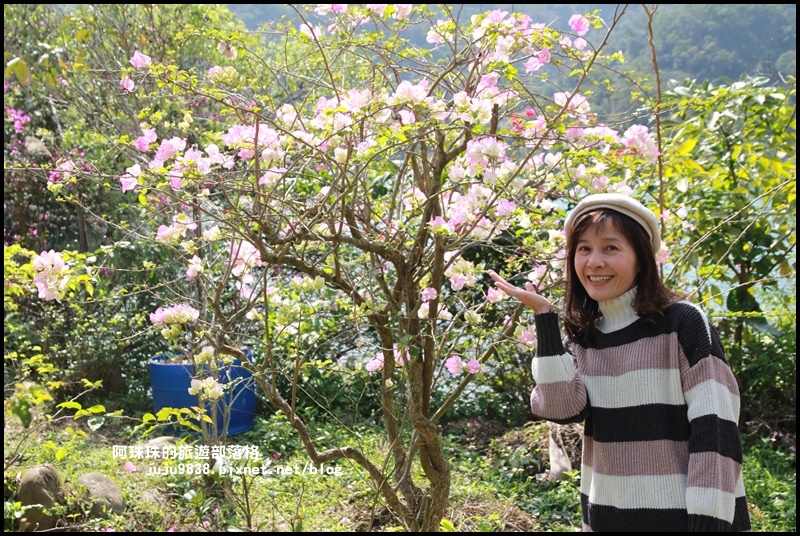 新店濛濛湖16.JPG 新店濛濛湖16.JPG