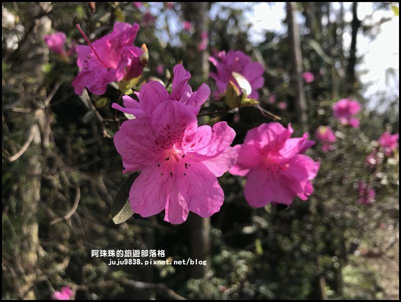 新店濛濛湖27.JPG 新店濛濛湖27.JPG