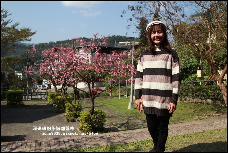 新店櫻花街9.JPG 新店櫻花街9.JPG