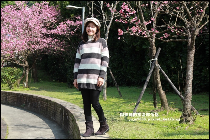 新店櫻花街1.JPG 新店櫻花街1.JPG