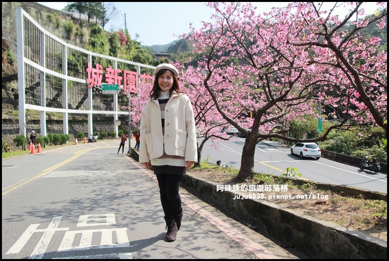 花園新城櫻花14.JPG 花園新城櫻花14.JPG