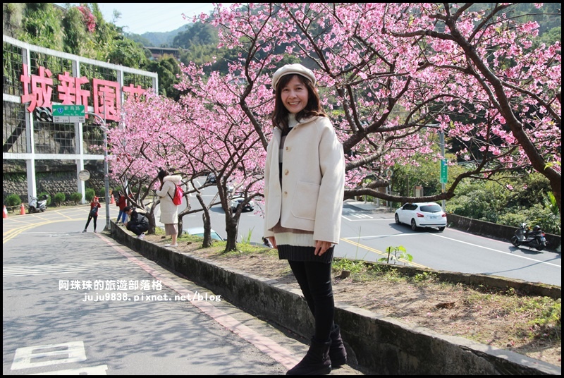 花園新城櫻花15.JPG 花園新城櫻花15.JPG