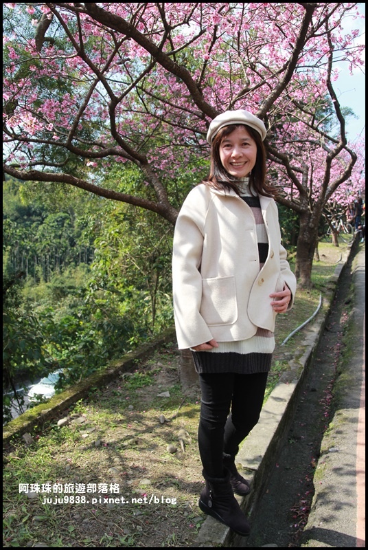 花園新城櫻花8.JPG 花園新城櫻花8.JPG