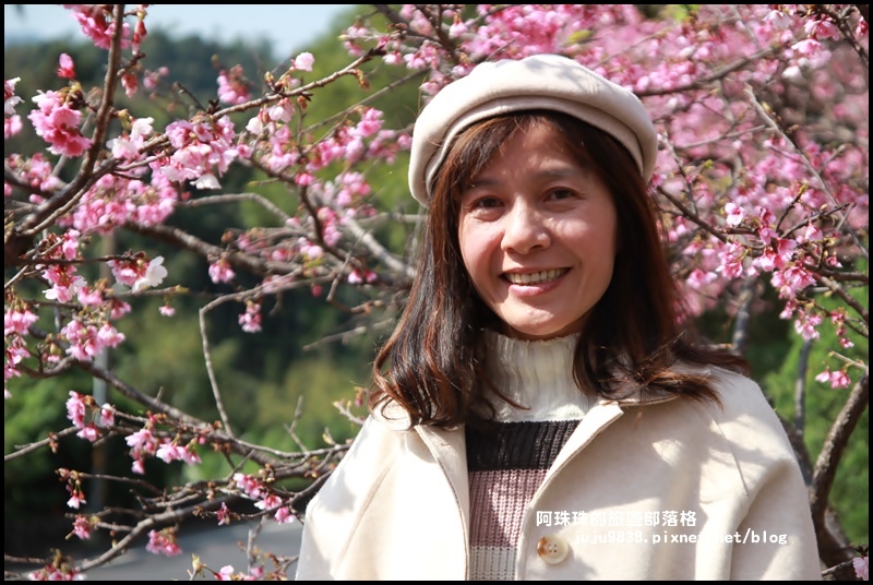 花園新城櫻花6.JPG 花園新城櫻花6.JPG