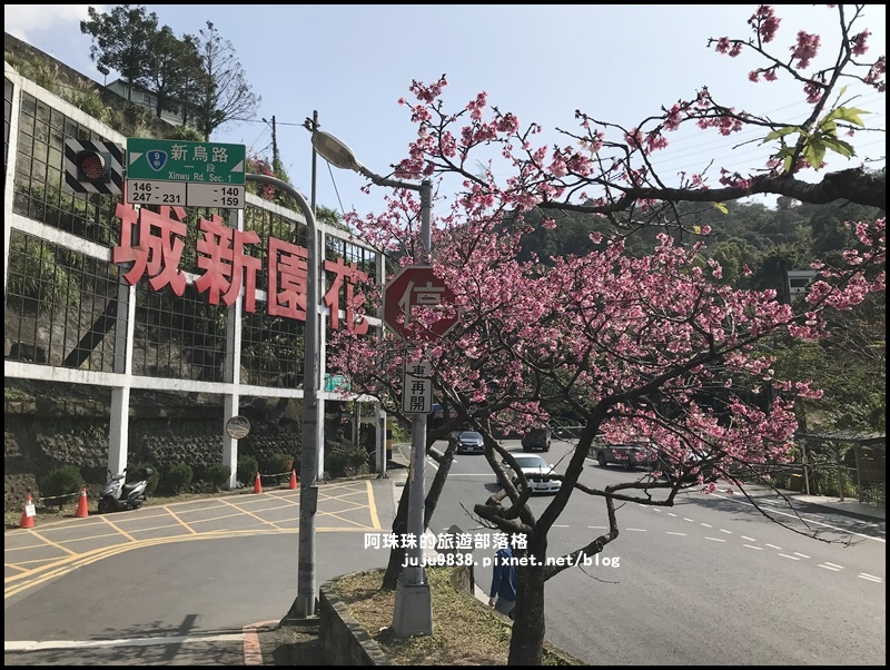 花園新城櫻花21.JPG 花園新城櫻花21.JPG