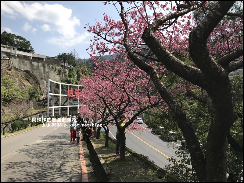 花園新城櫻花19.JPG 花園新城櫻花19.JPG