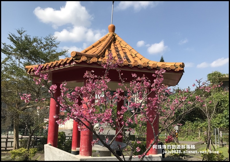 新店櫻花街13.JPG 新店櫻花街13.JPG