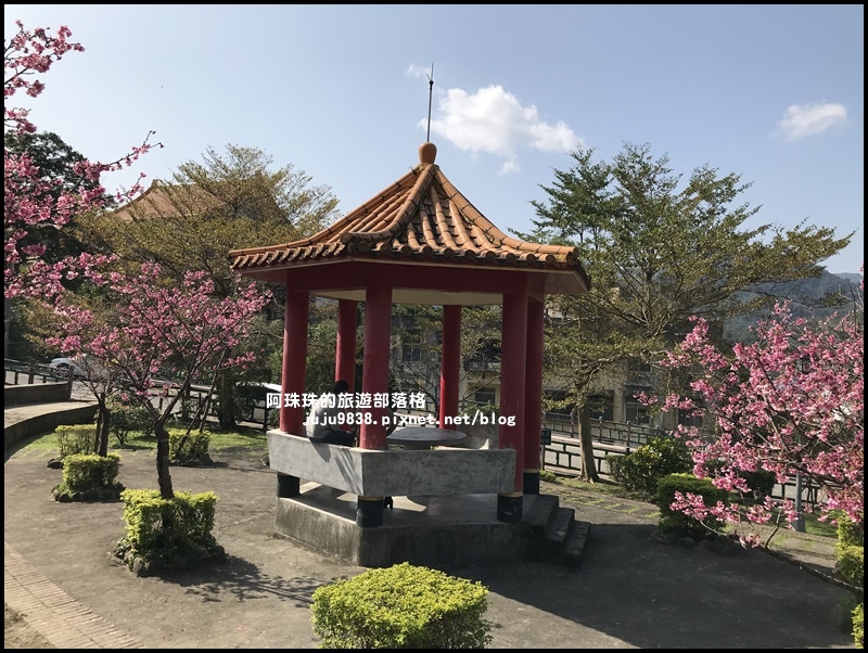 新店櫻花街15.JPG 新店櫻花街15.JPG