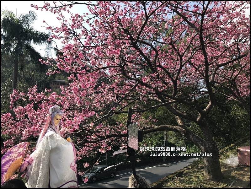 花園新城櫻花20.JPG 花園新城櫻花20.JPG