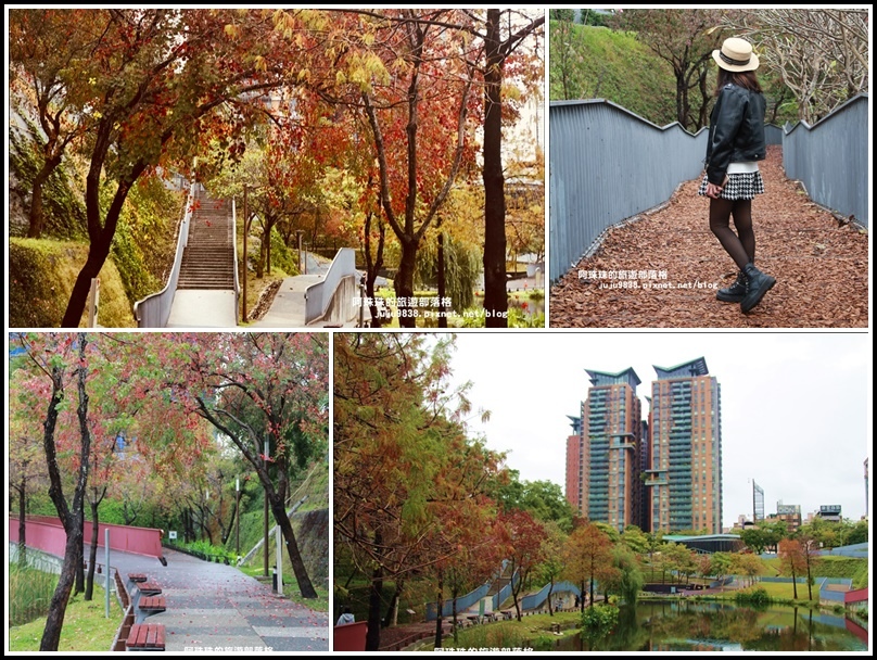 台中,秋紅谷景觀生態公園,西屯區,戶外活動,生態旅遊,免費景點,觀光景點,秋紅谷,生態公園,免門票