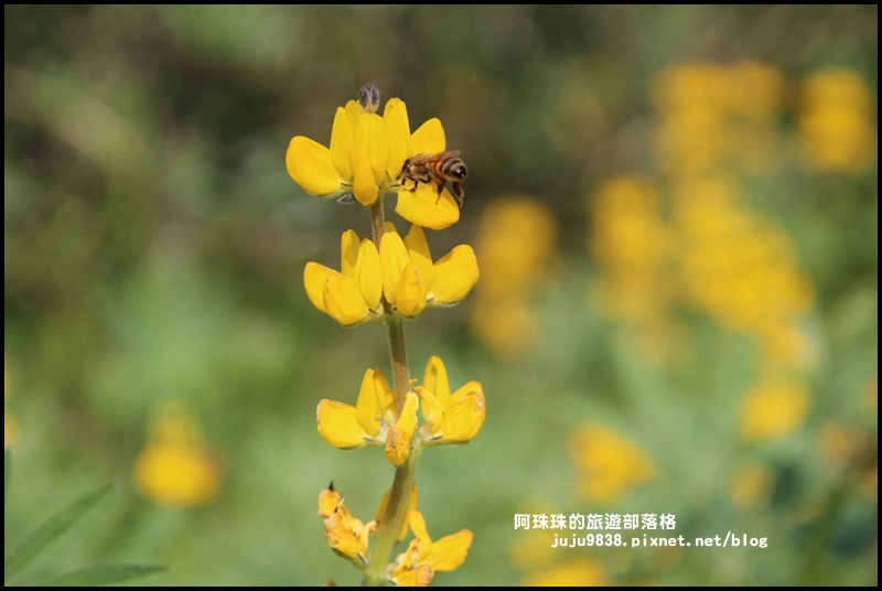 大北坑30.JPG 大北坑30.JPG