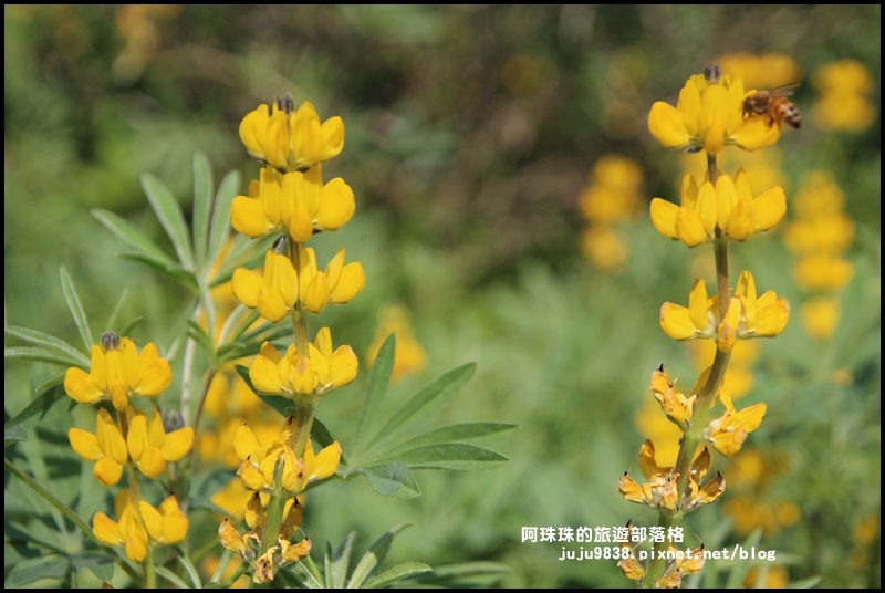 大北坑29.JPG 大北坑29.JPG