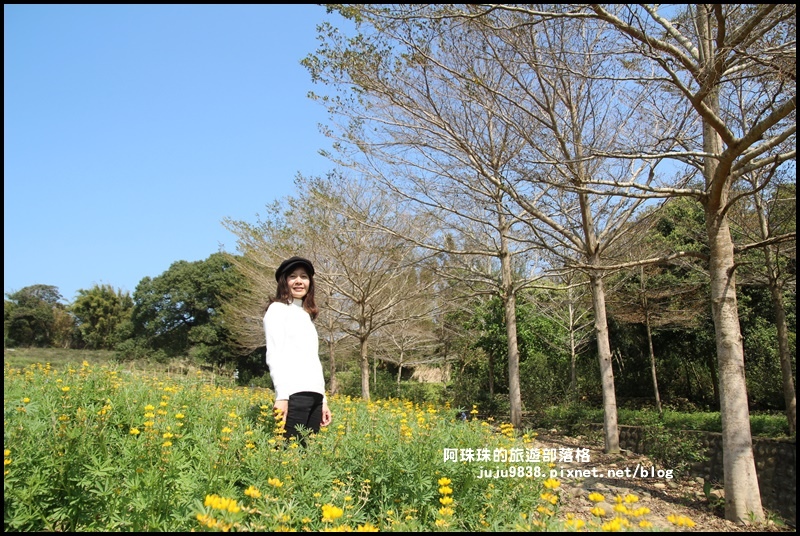 大北坑28.JPG 大北坑28.JPG