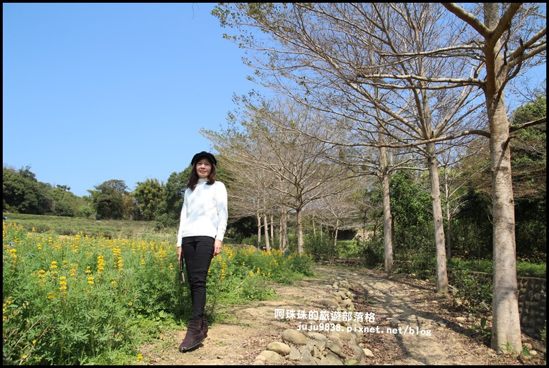 大北坑27.JPG 大北坑27.JPG