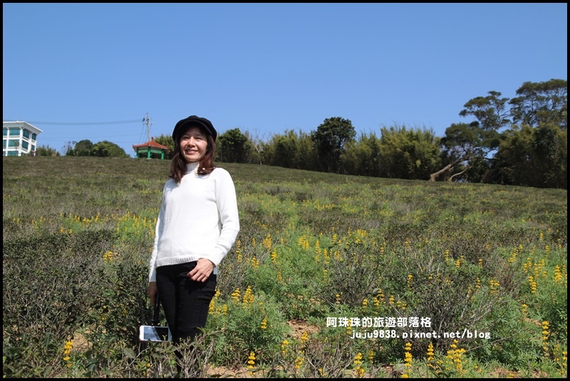 大北坑18.JPG 大北坑18.JPG