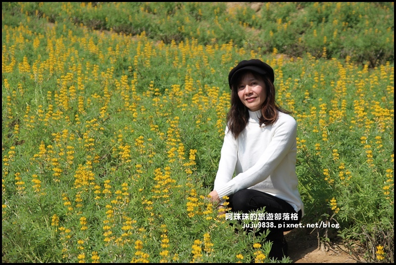 大北坑20.JPG 大北坑20.JPG