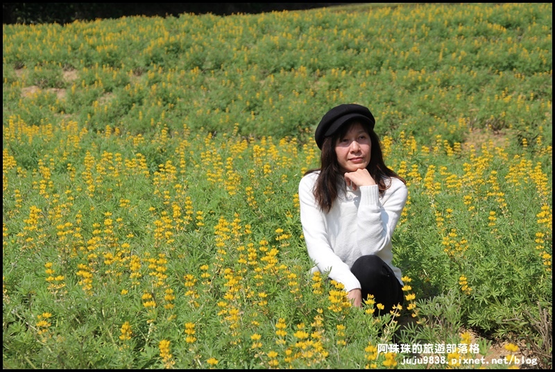 大北坑19.JPG 大北坑19.JPG