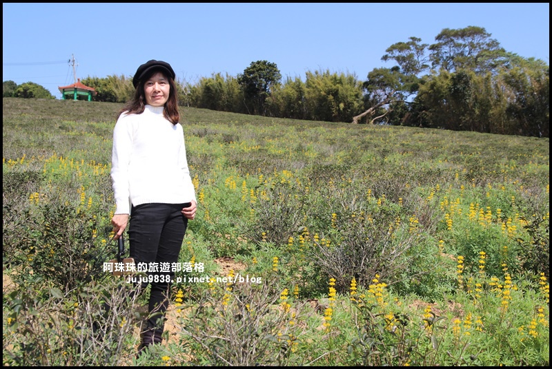 大北坑16.JPG 大北坑16.JPG