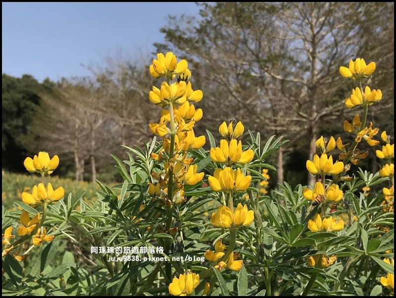 大北坑35.JPG 大北坑35.JPG