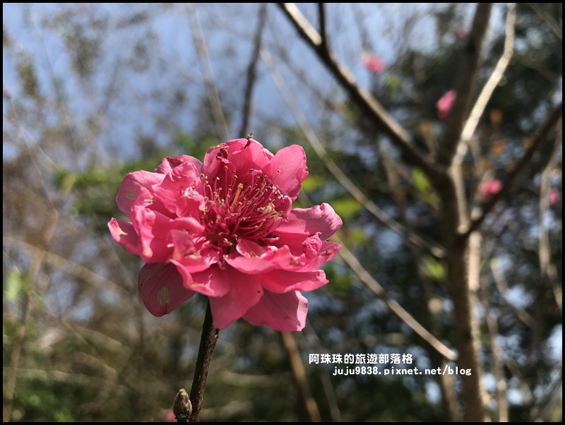 大北坑31.JPG 大北坑31.JPG