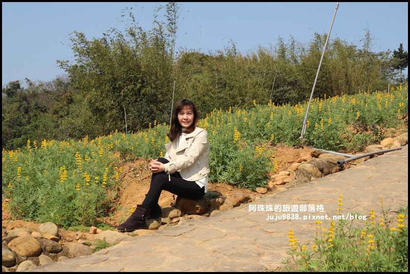 大北坑10.JPG 大北坑10.JPG