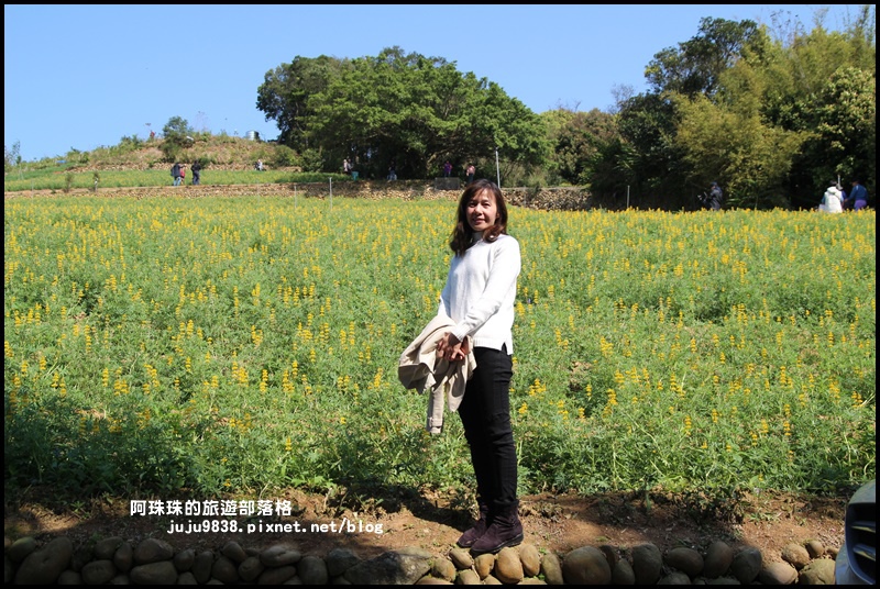 大北坑12.JPG 大北坑12.JPG