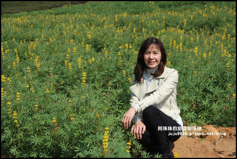 大北坑8.JPG 大北坑8.JPG