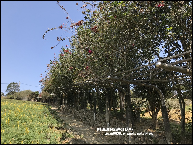 大北坑49.JPG 大北坑49.JPG