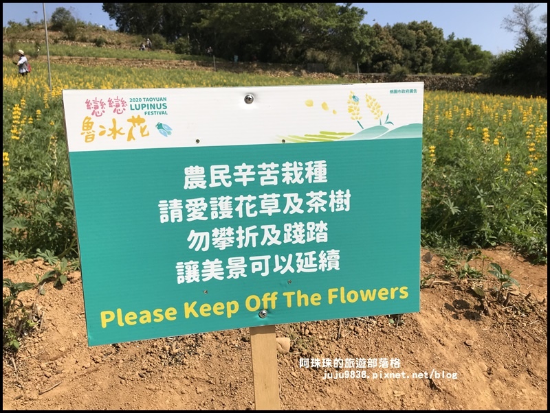 大北坑46.JPG 大北坑46.JPG